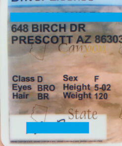 Arizona Fake ID