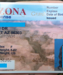 Arizona Fake ID