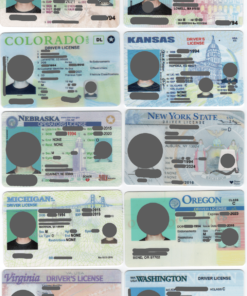 Virtual ID of any state (photo)