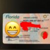 Florida Fake ID