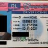 Connecticut Fake ID