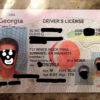 Georgia Fake ID