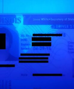 Illinois Fake ID