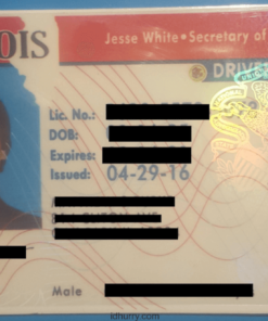 Illinois Fake ID