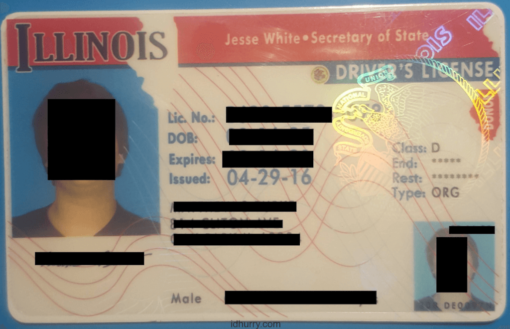 Illinois Fake ID