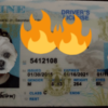 Maine Fake ID