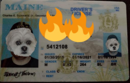 Maine Fake ID