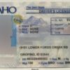 Idaho Fake ID