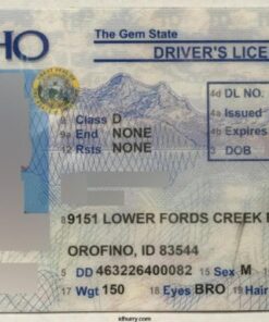 Idaho Fake ID