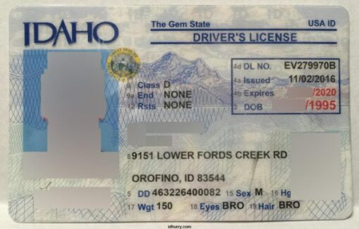 Idaho Fake ID