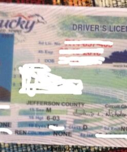 Kentucky Fake ID