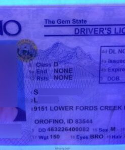 Idaho Fake ID