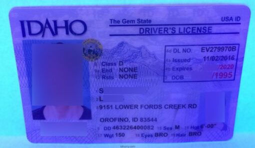 Idaho Fake ID