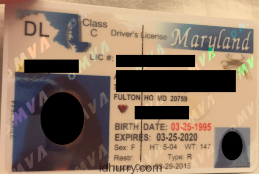 Maryland Fake ID