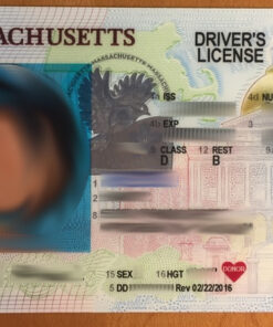 Massachusetts Fake ID